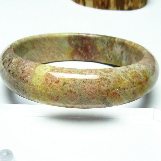 フォッシルコーラル バングル  化石珊瑚 59mm [T23-2331]