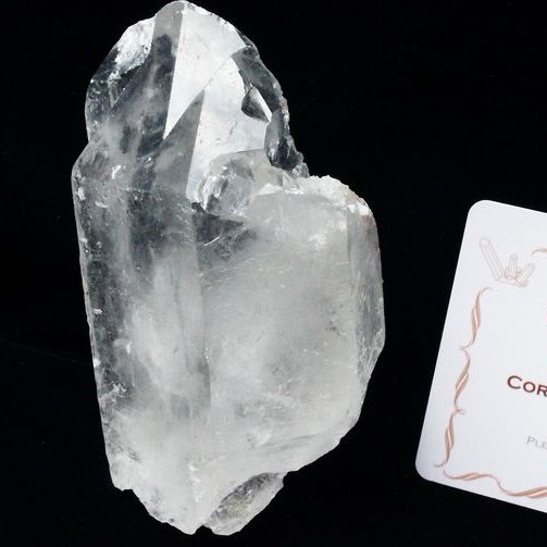 レムリアンシード カテドラルライブラリー 水晶 原石 ミナスジェライス州コリント産 ※証明書付き[T370-4236]