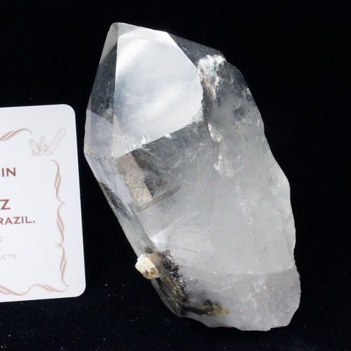 レムリアンシード ガーデン水晶 原石 ミナスジェライス州コリント産 ※証明書付き[T370-4271]