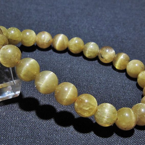 キャッツアイゴールデンアパタイト ブレスレット 8mm [t527-3128]