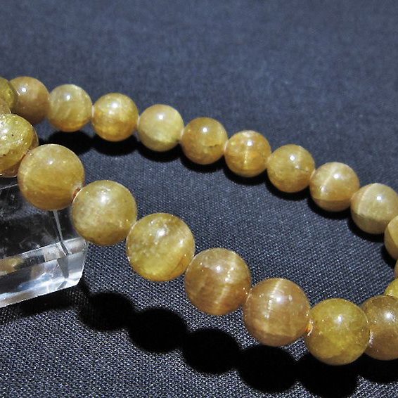 キャッツアイゴールデンアパタイト ブレスレット 8mm [t527-3132]