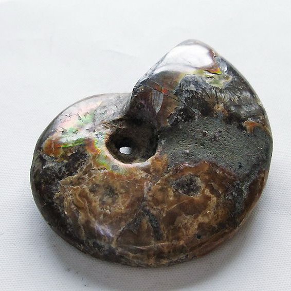 虹入り アンモナイト 化石[T570-4968]