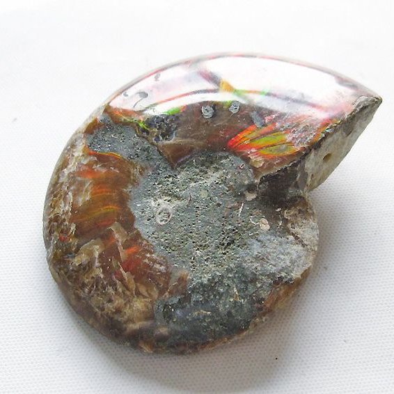 虹入り アンモナイト 化石[T570-5031]