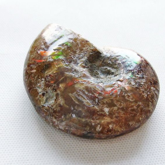 虹入り アンモナイト 化石[T570-5088]