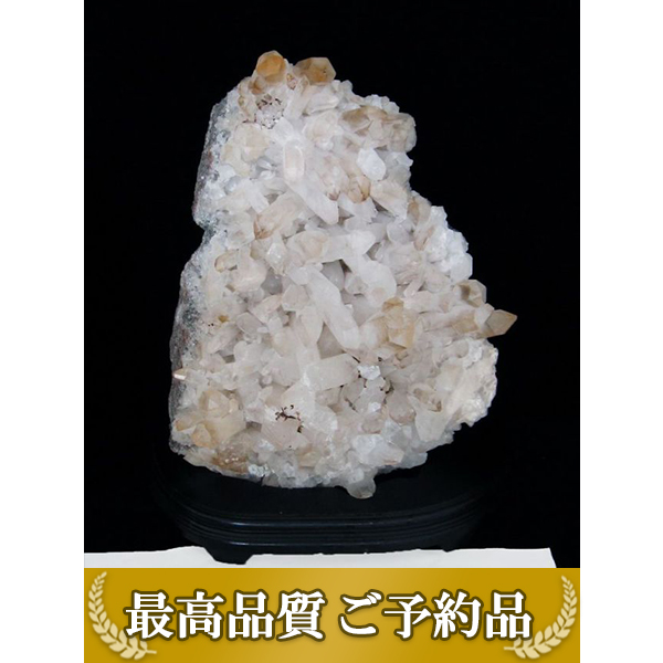 ★ご予約品 ご注文から3ヵ月後の発送予定 ty★ 40.4Kg レムリアンシード水晶クラスター 同梱不可 (特大品) [T59-1009]