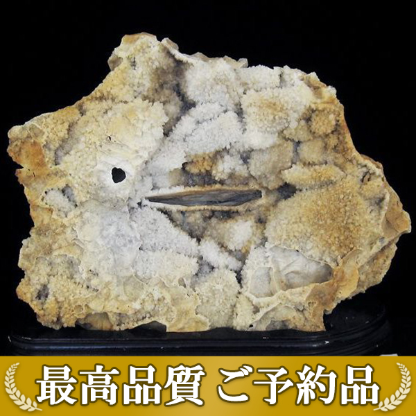 ★ご予約品 ご注文から3ヵ月後の発送予定 ty★ 20.1Kg カテドラルライブラリー 水晶クラスター 同梱不可 [T59-1012]