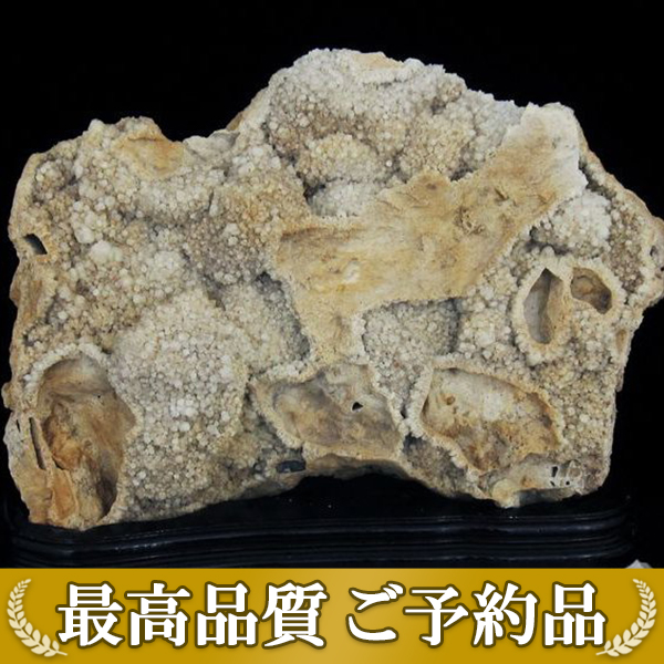 ★ご予約品 ご注文から3ヵ月後の発送予定 ty★ 29.4Kg カテドラルライブラリー 水晶クラスター 同梱不可 [T59-1013]