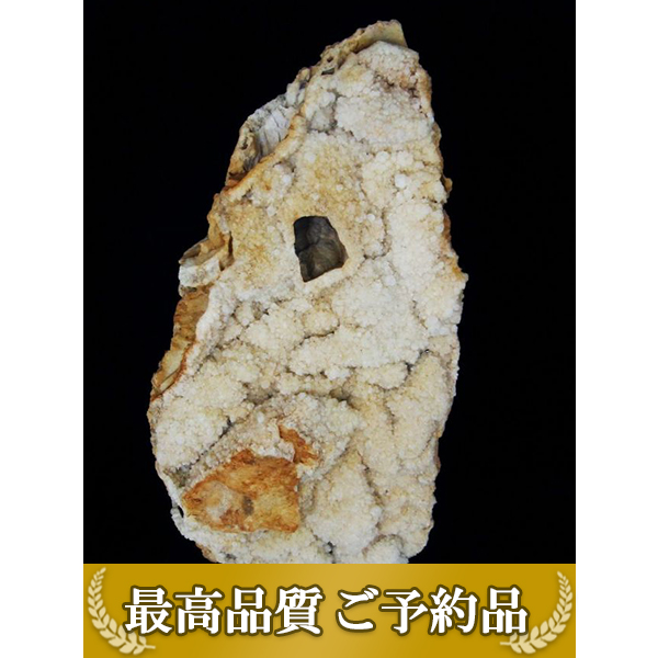 ★ご予約品 ご注文から3ヵ月後の発送予定 ty★ 42.7Kg カテドラルライブラリー 水晶クラスター 同梱不可 (特大品) [T59-1014]