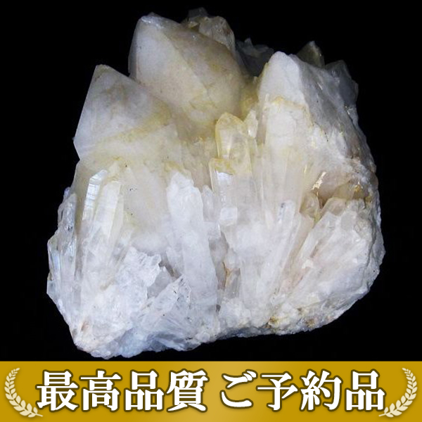 ★ご予約品 ご注文から3ヵ月後の発送予定 ty★ 66.2Kg レムリアンシード水晶クラスター 同梱不可 (特大品) [t59-1015]