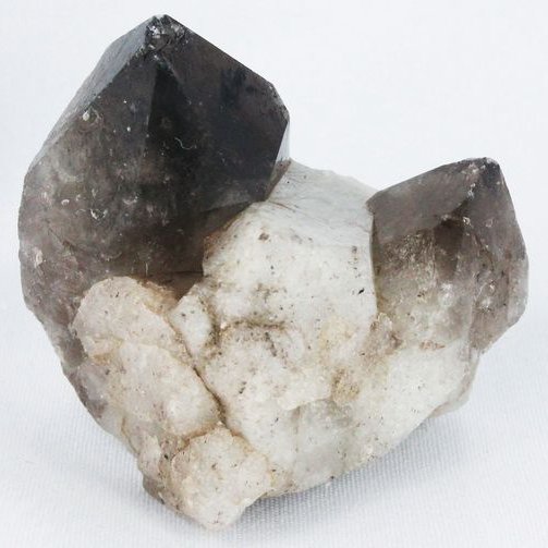 ブラジル産 モリオン 純天然 黒水晶 クラスター[T618-7104]