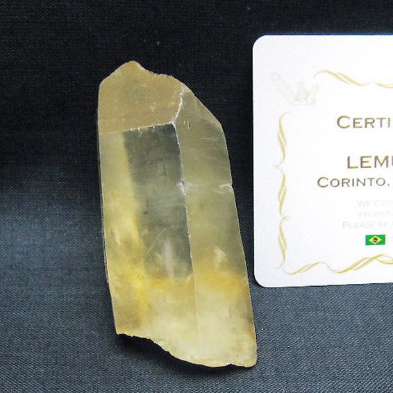 シトリン レムリアンシード水晶 原石 ミナスジェライス州コリント産 ※証明書付き[T641-2080]
