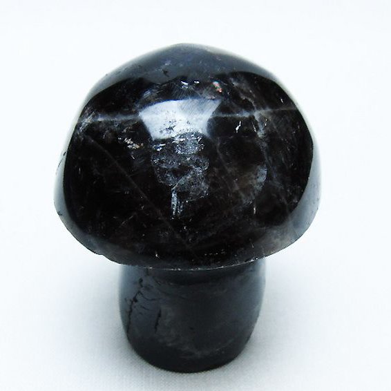 モリオン 純天然 黒水晶 きのこ 置物[T653-4113]