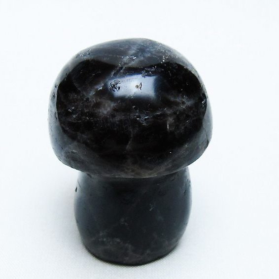 モリオン 純天然 黒水晶 きのこ 置物 [t653-4442]