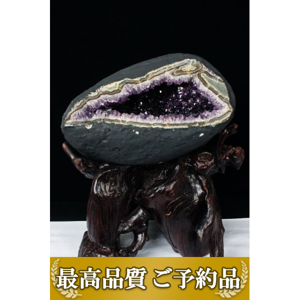 画像現物/★ご予約品 ご注文から3ヵ月後の発送予定 ty★ 13Kg ウルグアイ産 サークルジオード アメジストドーム amethyst [T659-1481]