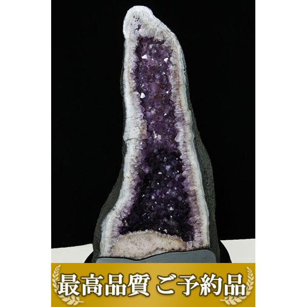 ★ご予約品 ご注文から3ヵ月後の発送予定 ty★ 82.6Kg ブラジル産 アメジストドーム 同梱不可 (特大品) [t659-1818]