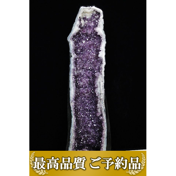 ★ご予約品 ご注文から3ヵ月後の発送予定 ty★ 49.7Kg ブラジル産 アメジストドーム 同梱不可 （特大品）[T659-1819]