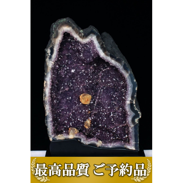 画像現物/★ご予約品 ご注文から3ヵ月後の発送予定 ty★ 77Kg ブラジル産 カルサイトアメジストドーム 同梱不可  [T659-832]（特大品）