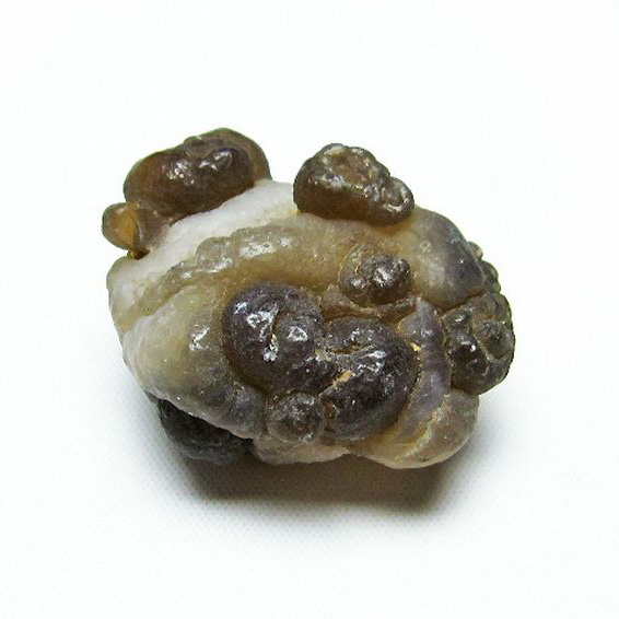 カルセドニーノジュール(球状玉髄) モロッコ産  ツーソン展示会品[T742-414]