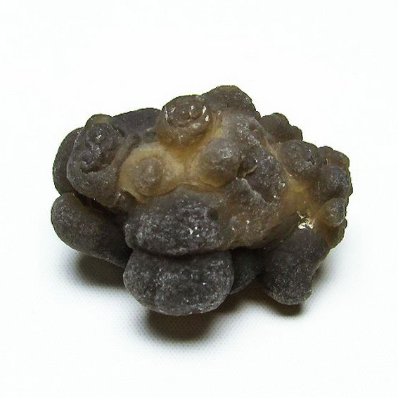 カルセドニーノジュール(球状玉髄) モロッコ産 ツーソン展示会品[T742-485]