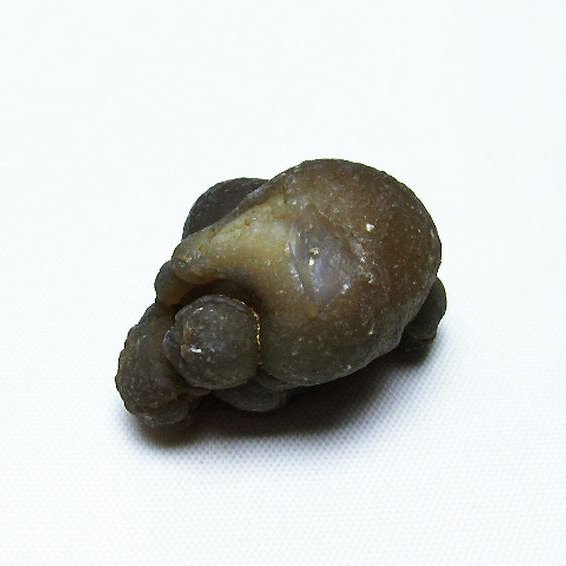 カルセドニーノジュール(球状玉髄) モロッコ産 ツーソン展示会品[T742-558]