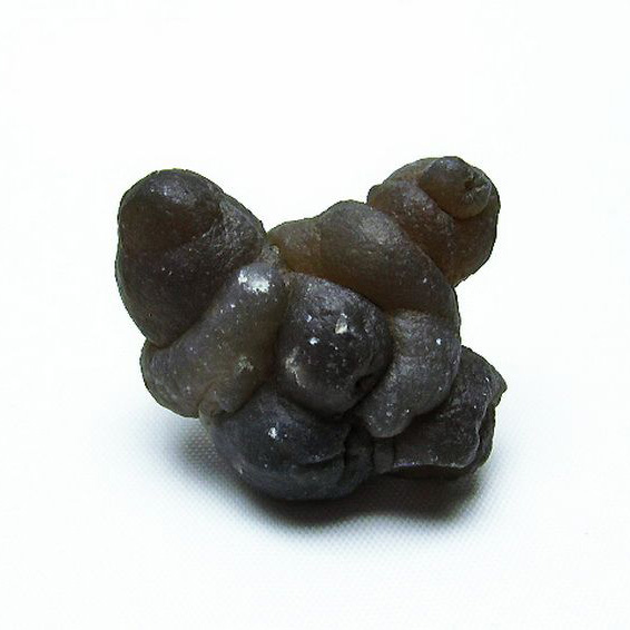 カルセドニーノジュール(球状玉髄) モロッコ産  ツーソン展示会品[T742-560]