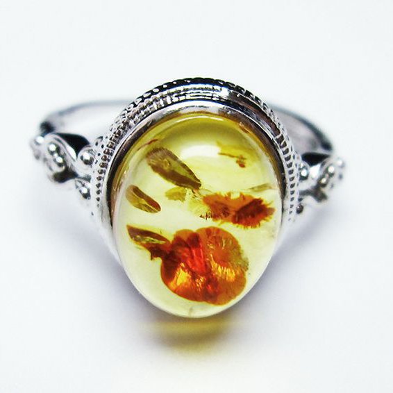 アンバー 琥珀 指輪 (17号)[T746-3364]