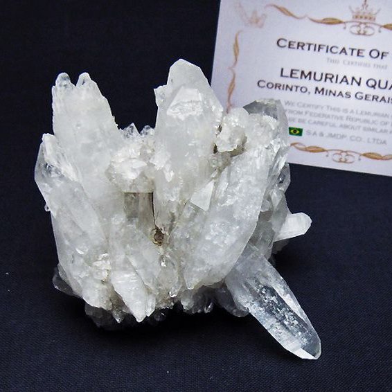 レムリアンシード 水晶 クラスター ミナスジェライス州コリント産  ※証明書付き[T759-1355]