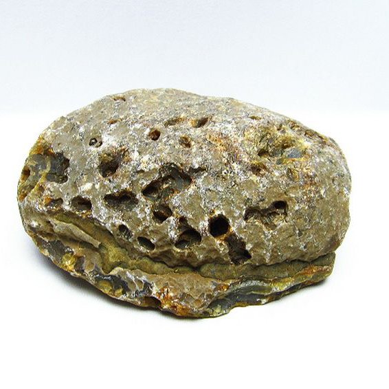 1.6Kg メノウ 原石 [t764-1693]