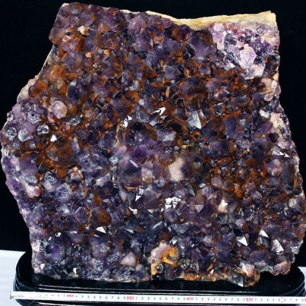 67Kg アメジストクラスター(特大品) 同梱不可[T768-255]