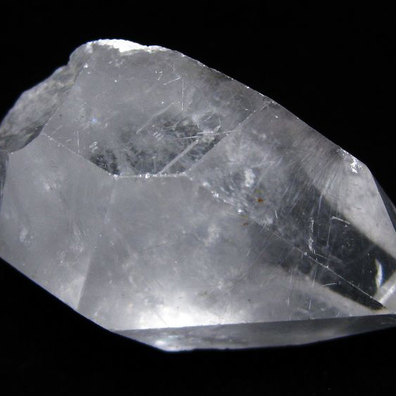 ロイヤルプラチナルチル　クラスター アメリカ産 [T768-2800]