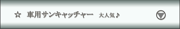 車用サンキャッチャー