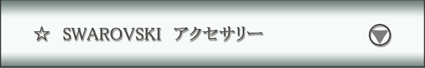 SWAROVSKIアクセサリー