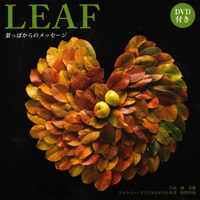 DVD付き写真集「LEAF 葉っぱからのメッセージ」