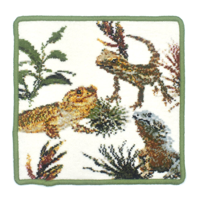 exo3005-5111 フトアゴヒゲトカゲ エキゾチックアニマルシリーズ