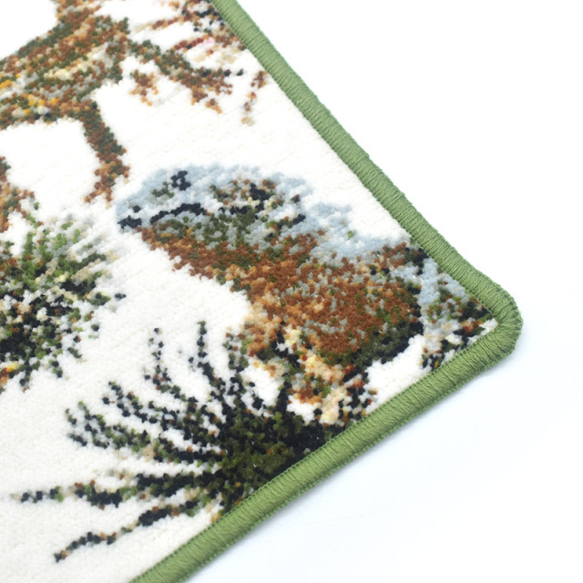 exo3005-5111 フトアゴヒゲトカゲ エキゾチックアニマルシリーズ