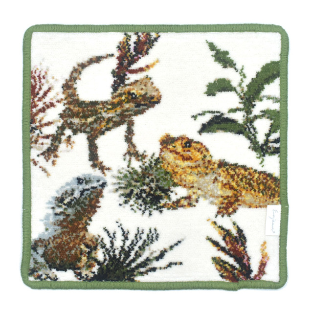 exo3005-5111 フトアゴヒゲトカゲ エキゾチックアニマルシリーズ