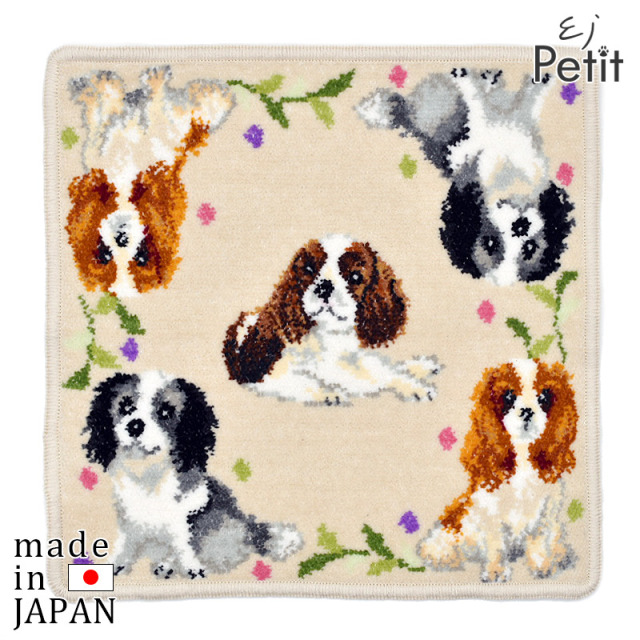 あしべ☆　ハンカチ　チワワ柄　18枚 日本製 チワワ チワプー シェニール織 ハンカチ 23cm EjPetit
