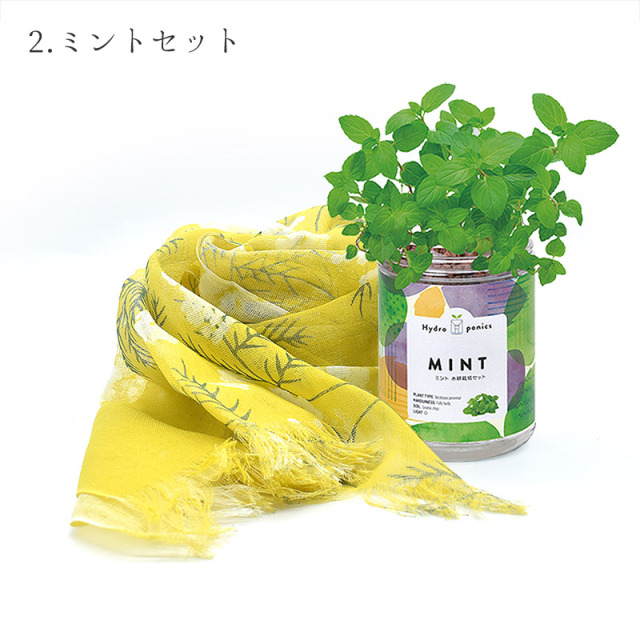母の日ギフトにもオススメ ミント バジル 育てるギフト 記念 お礼 送別