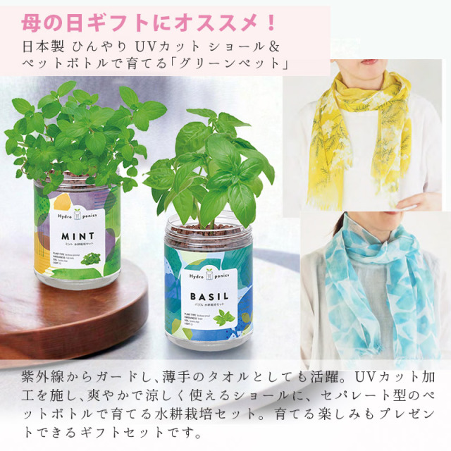 母の日ギフトにもオススメ ミント バジル 育てるギフト 記念 お礼 送別