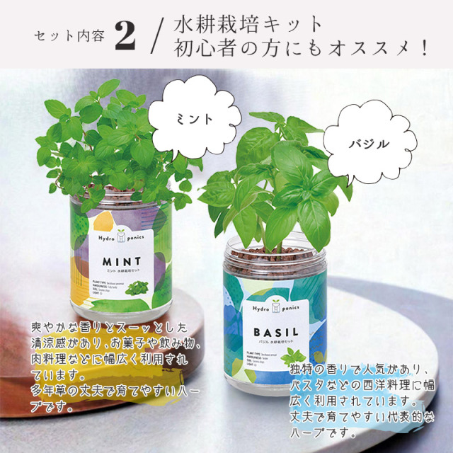 母の日ギフトにもオススメ ミント バジル 育てるギフト 記念 お礼 送別