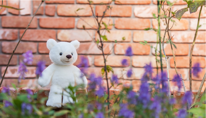 工房オリジナル テディベア ぬいぐるみ 通販 Cuddly Brown