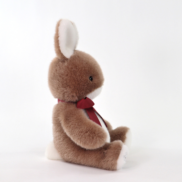 うさぎのラッキーM