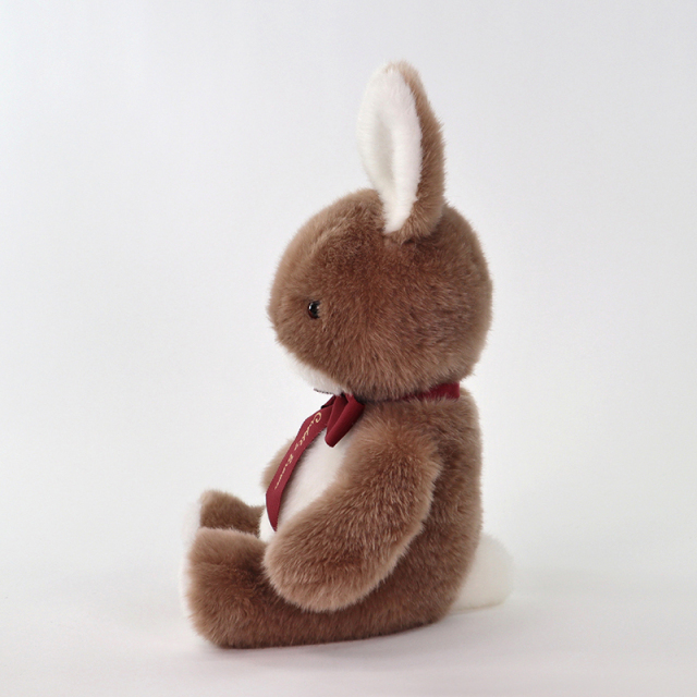 うさぎのラッキーM