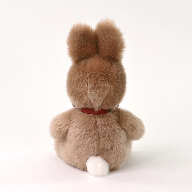 うさぎのラッキーS