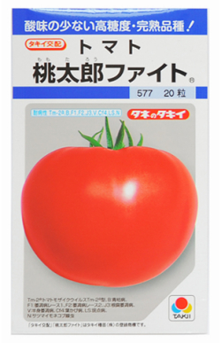 大玉トマト 桃太郎ファイト