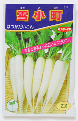 二十日大根（白）【雪小町】 CulDyna農園