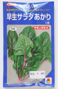 赤軸ホーレン草　早生サラダあかり