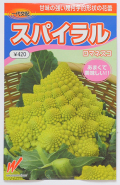 幾何学カリフラワー 　スパイラル