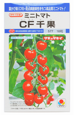 CulDyna農園】 ミニトマト CF千果