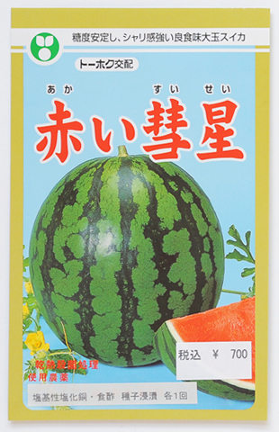 大玉スイカ 赤い彗星